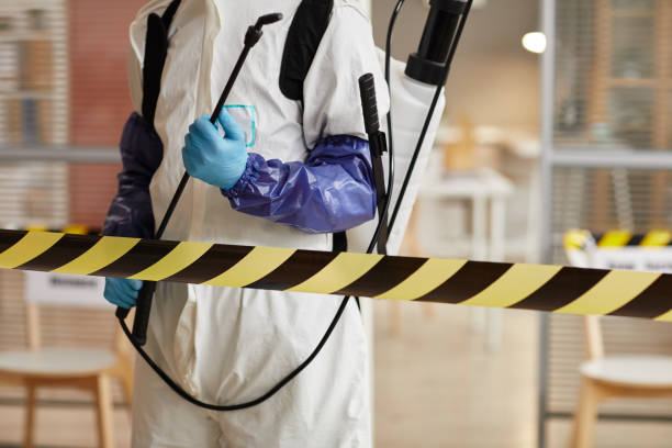 Professional Sewage Cleanup technician working in Glen Gardner, NJ