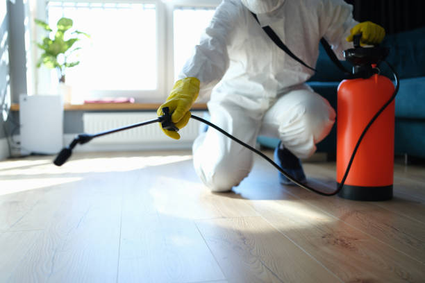 Reliable Sewage Cleanup contractor in Glen Gardner, NJ by Crime Scene Cleaner Online